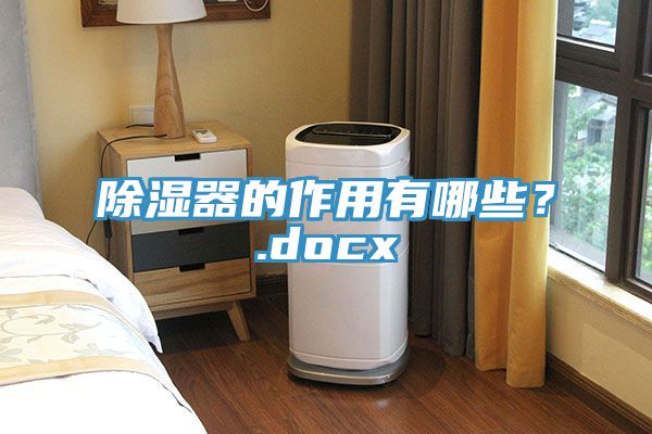 除濕器的作用有哪些？.docx