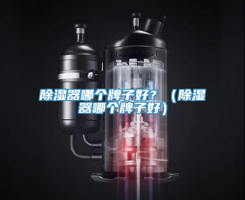 除濕器哪個牌子好？（除濕器哪個牌子好）