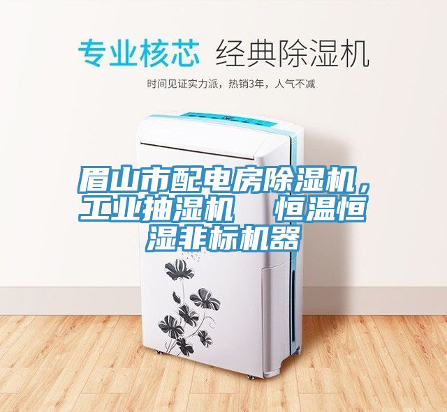 眉山市配電房除濕機，工業抽濕機  恒溫恒濕非標機器