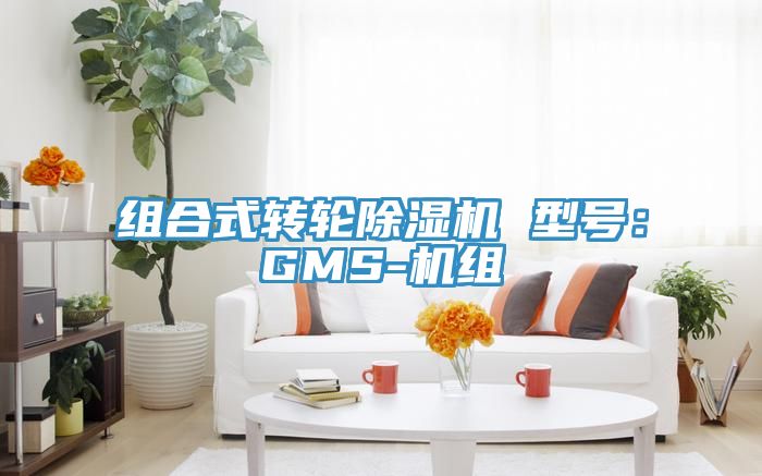 組合式轉輪除濕機 型號：GMS-機組