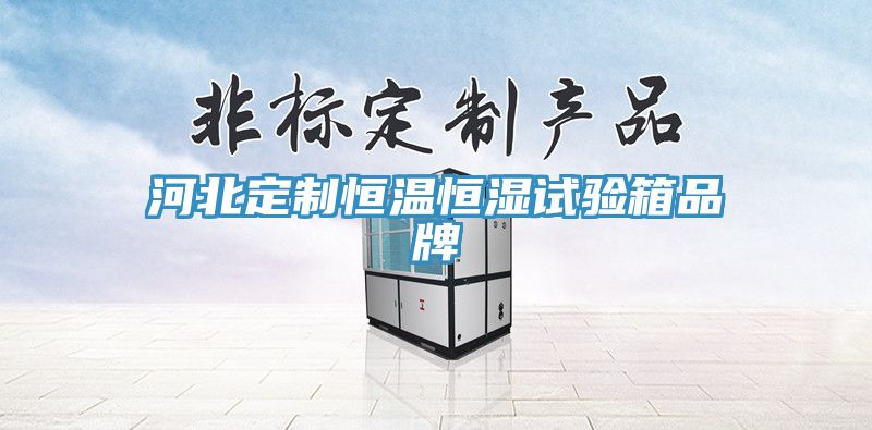 河北定制恒溫恒濕試驗箱品牌