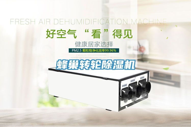 蜂巢轉輪除濕機