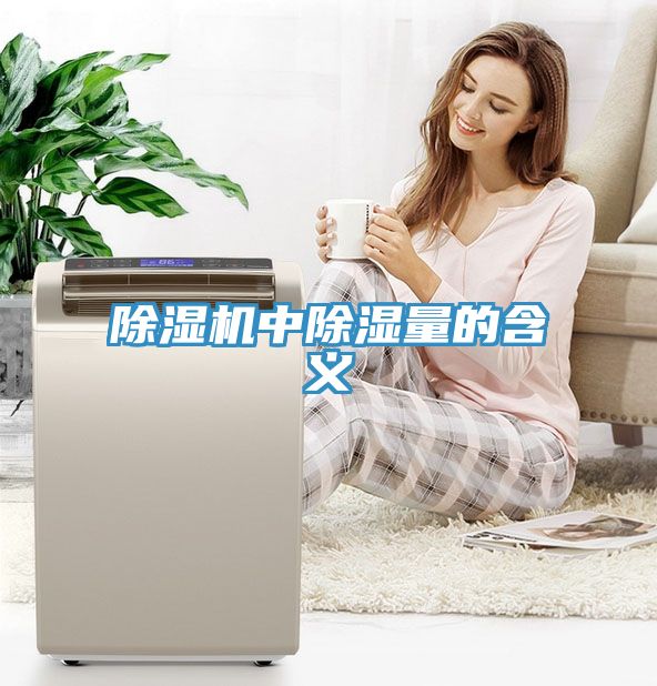 除濕機中除濕量的含義