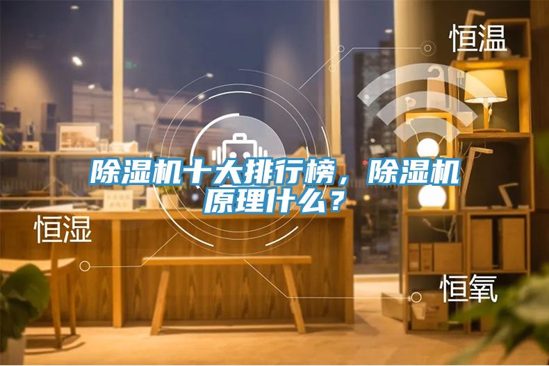 除濕機十大排行榜，除濕機原理什么？
