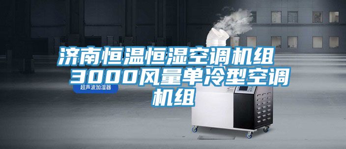 濟南恒溫恒濕空調機組 3000風量單冷型空調機組
