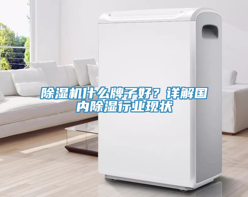 除濕機什么牌子好？詳解國內除濕行業現狀