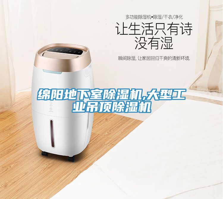 綿陽地下室除濕機,大型工業吊頂除濕機