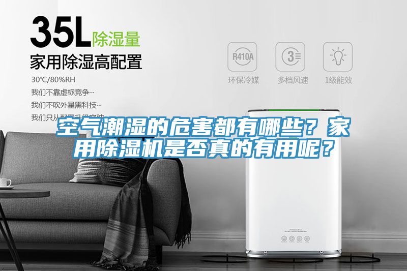 空氣潮濕的危害都有哪些？家用除濕機是否真的有用呢？