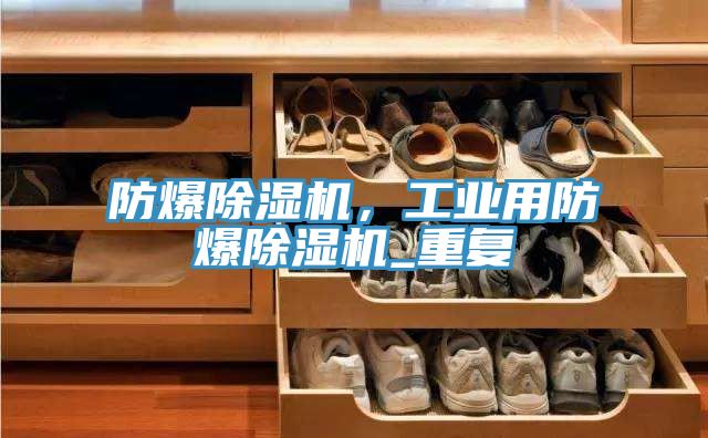 防爆除濕機，工業用防爆除濕機_重復