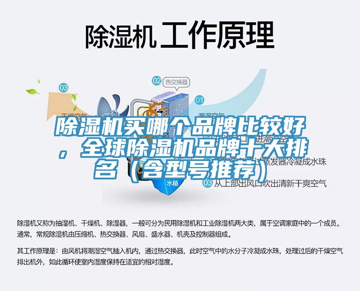 除濕機買哪個品牌比較好，全球除濕機品牌十大排名（含型號推薦）