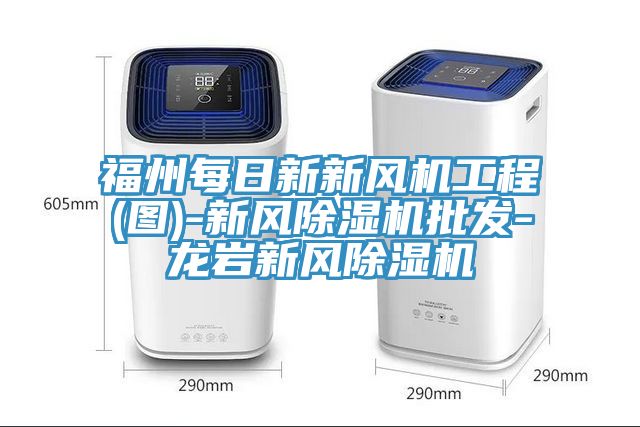 福州每日新新風機工程(圖)-新風除濕機批發-龍巖新風除濕機