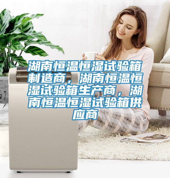 湖南恒溫恒濕試驗箱制造商，湖南恒溫恒濕試驗箱生產商，湖南恒溫恒濕試驗箱供應商