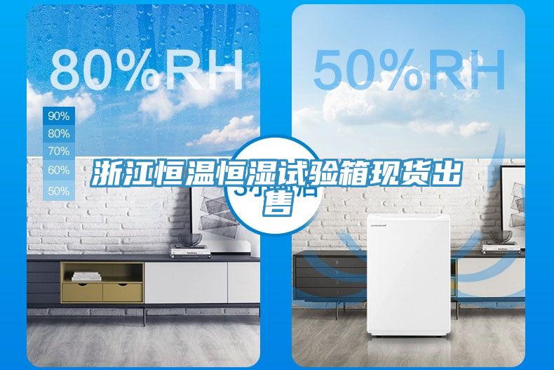 浙江恒溫恒濕試驗箱現貨出售