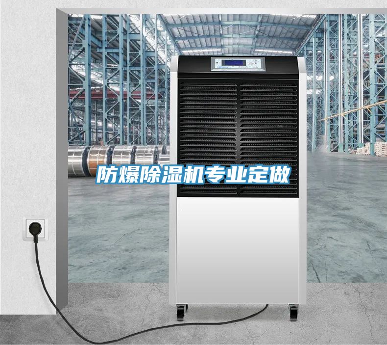 防爆除濕機專業定做