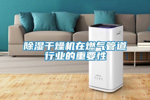 除濕干燥機在燃氣管道行業的重要性