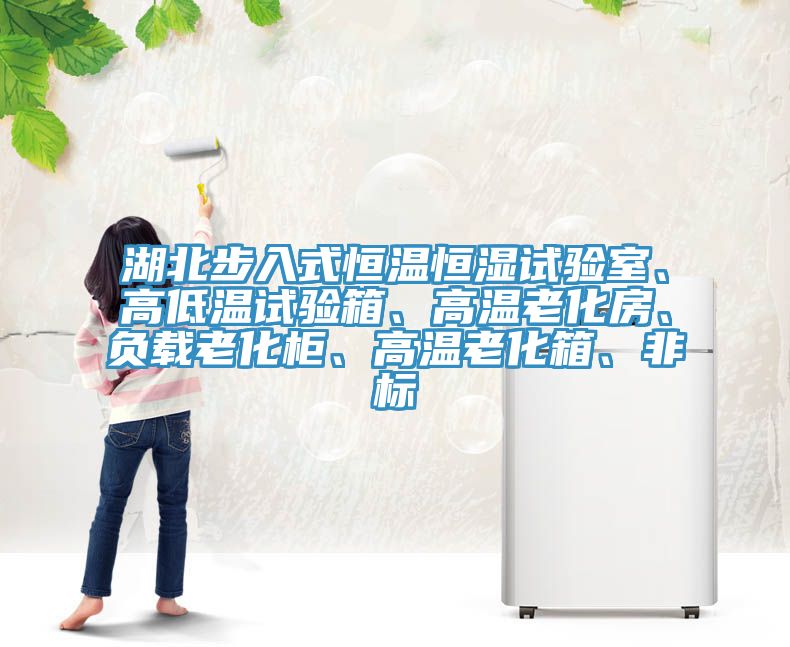湖北步入式恒溫恒濕試驗室、高低溫試驗箱、高溫老化房、負載老化柜、高溫老化箱、非標
