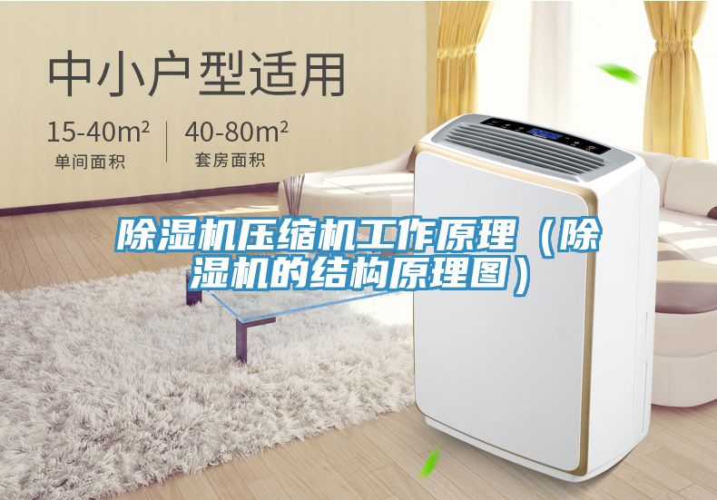 除濕機壓縮機工作原理（除濕機的結構原理圖）