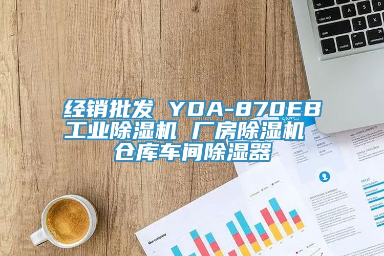 經銷批發 YDA-870EB工業除濕機 廠房除濕機 倉庫車間除濕器