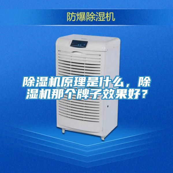 除濕機原理是什么，除濕機那個牌子效果好？