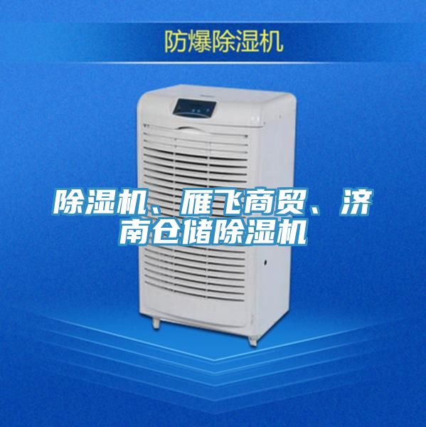 除濕機、雁飛商貿、濟南倉儲除濕機