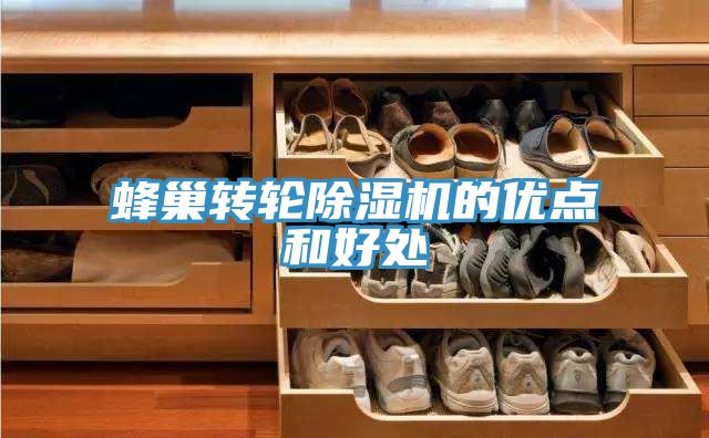 蜂巢轉輪除濕機的優點和好處