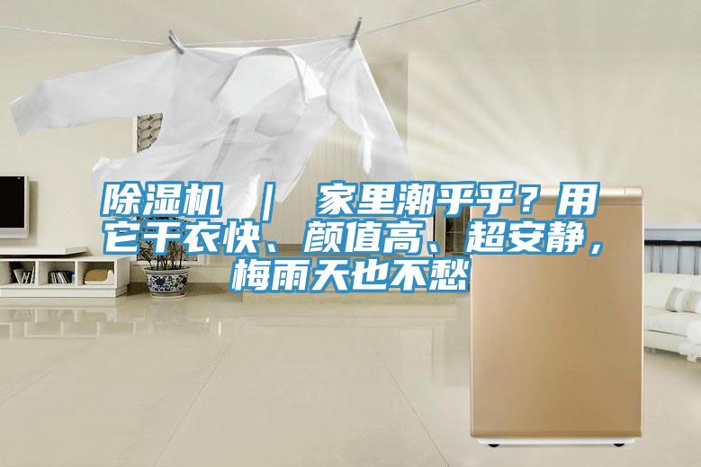 除濕機 ｜ 家里潮乎乎？用它干衣快、顏值高、超安靜，梅雨天也不愁