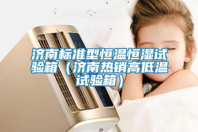 濟南標準型恒溫恒濕試驗箱(濟南熱銷高低溫試驗箱)