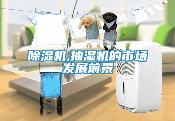 除濕機,抽濕機的市場發展前景