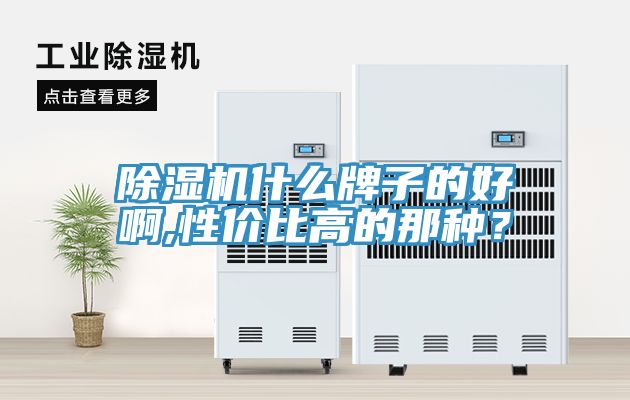 除濕機什么牌子的好啊,性價比高的那種？