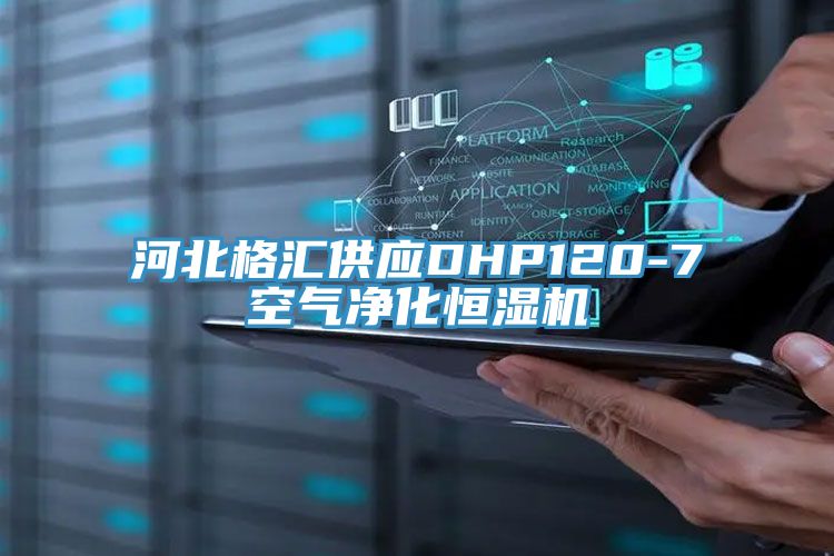 河北格匯供應DHP120-7空氣凈化恒濕機