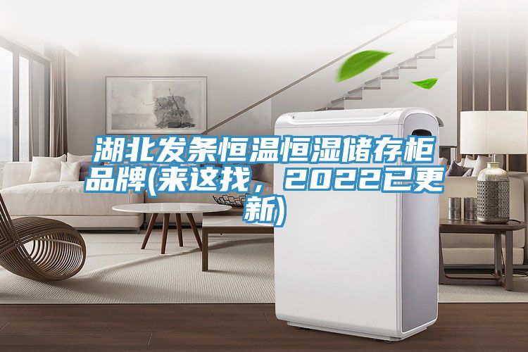 湖北發條恒溫恒濕儲存柜品牌(來這找，2022已更新)