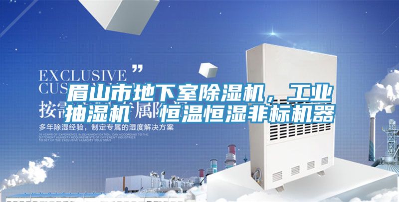 眉山市地下室除濕機，工業抽濕機  恒溫恒濕非標機器