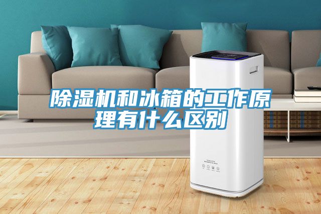 除濕機和冰箱的工作原理有什么區別