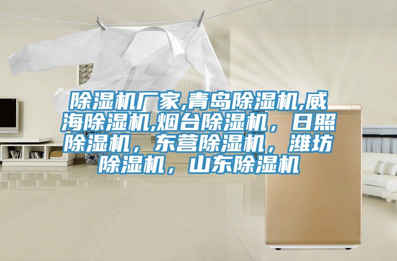 除濕機廠家,青島除濕機,威海除濕機,煙臺除濕機，日照除濕機，東營除濕機，濰坊除濕機，山東除濕機
