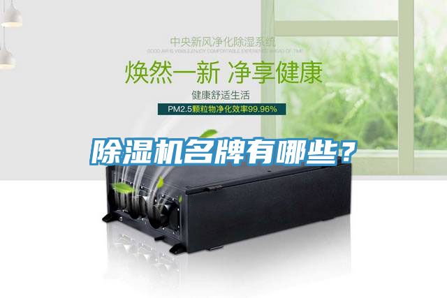 除濕機名牌有哪些？