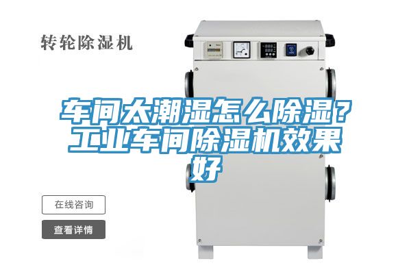 車間太潮濕怎么除濕？工業車間除濕機效果好