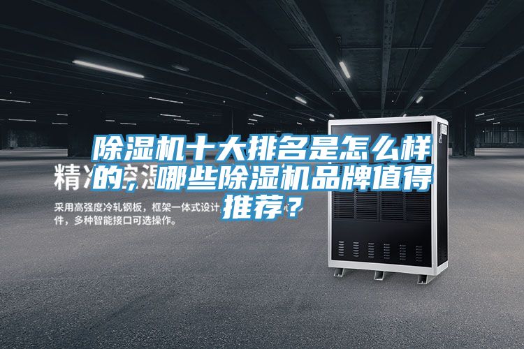 除濕機十大排名是怎么樣的，哪些除濕機品牌值得推薦？
