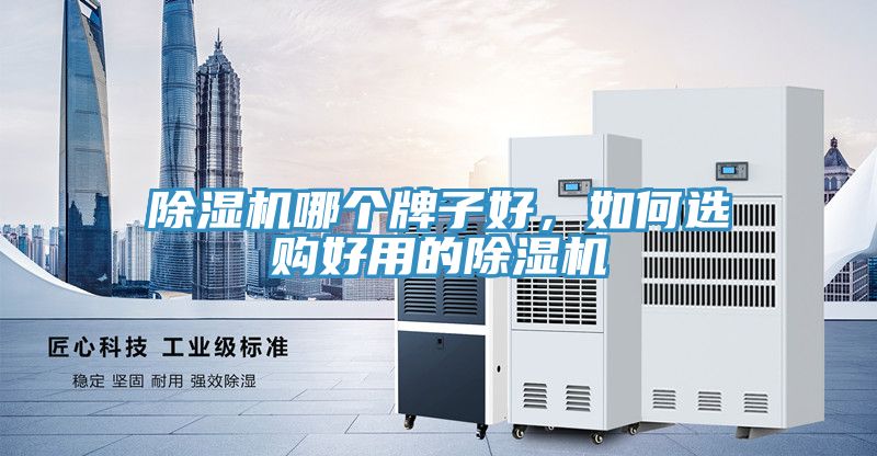 除濕機哪個牌子好，如何選購好用的除濕機