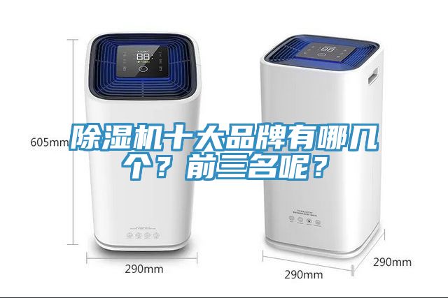 除濕機十大品牌有哪幾個？前三名呢？