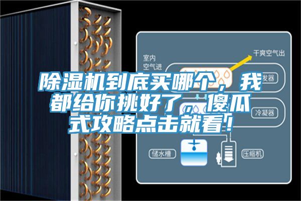 除濕機到底買哪個，我都給你挑好了，傻瓜式攻略點擊就看！