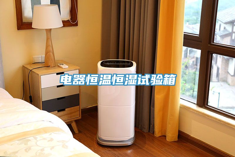 電器恒溫恒濕試驗箱