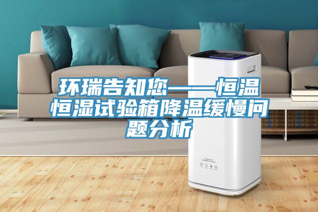 環瑞告知您——恒溫恒濕試驗箱降溫緩慢問題分析