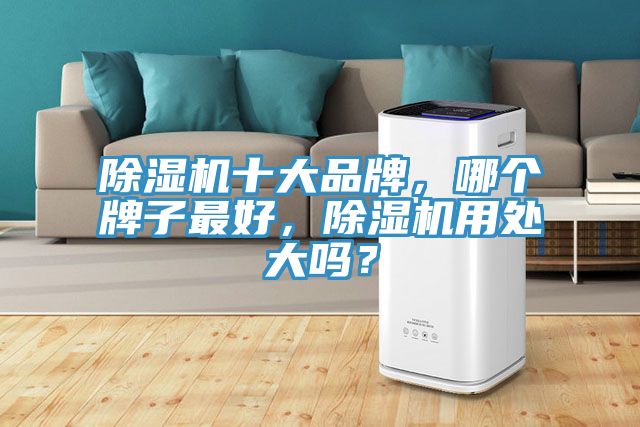 除濕機十大品牌，哪個牌子最好，除濕機用處大嗎？