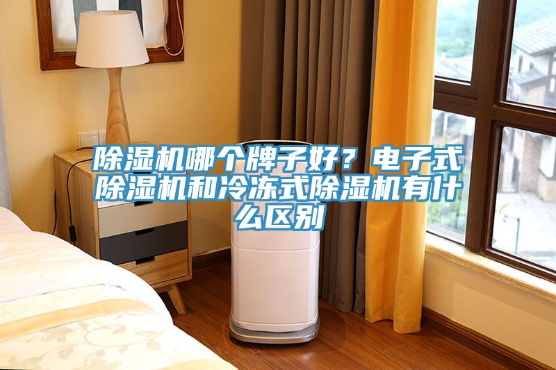 除濕機哪個牌子好？電子式除濕機和冷凍式除濕機有什么區別