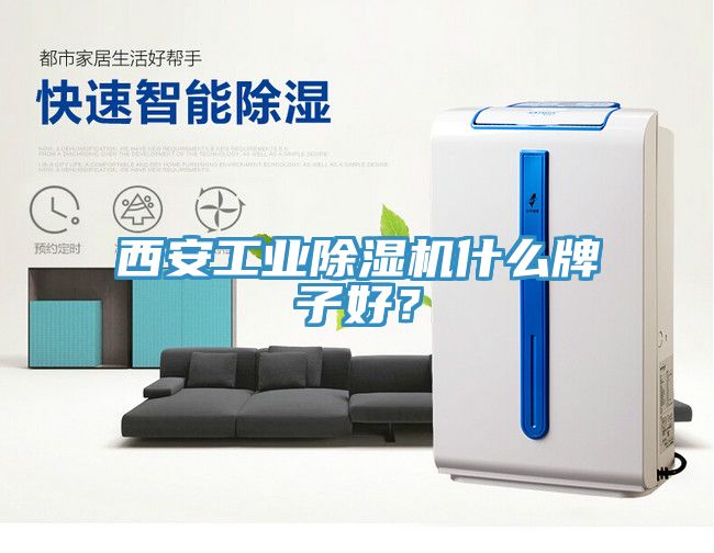 西安工業除濕機什么牌子好？