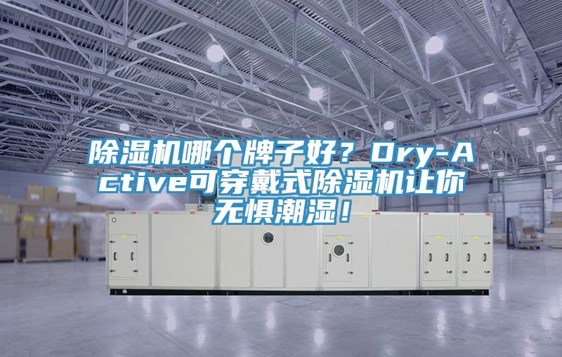 除濕機哪個牌子好？Dry-Active可穿戴式除濕機讓你無懼潮濕！