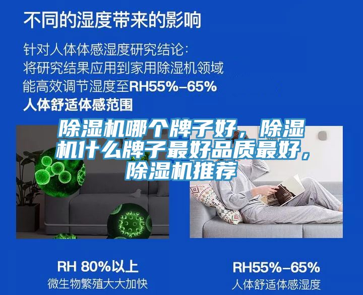 除濕機哪個牌子好，除濕機什么牌子最好品質最好，除濕機推薦