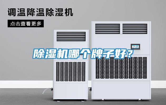 除濕機哪個牌子好？