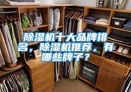 除濕機十大品牌排名，除濕機推薦，有哪些牌子？