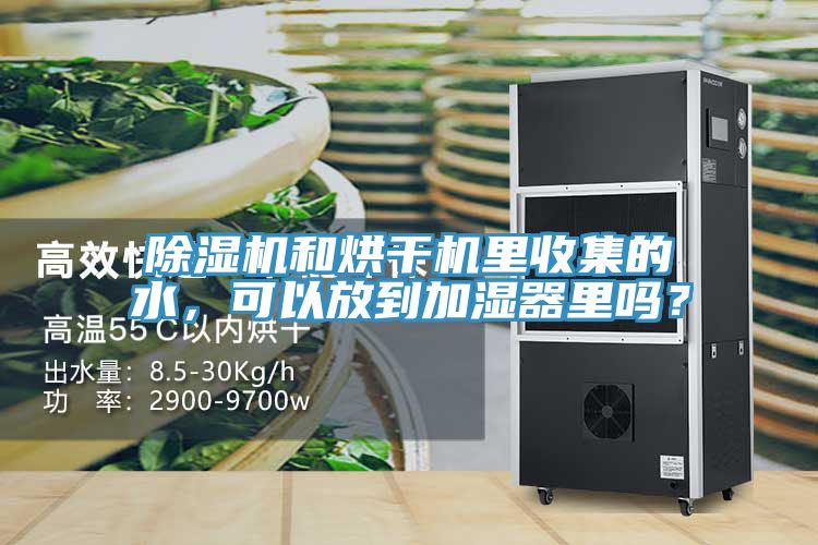 除濕機和烘干機里收集的水，可以放到加濕器里嗎？